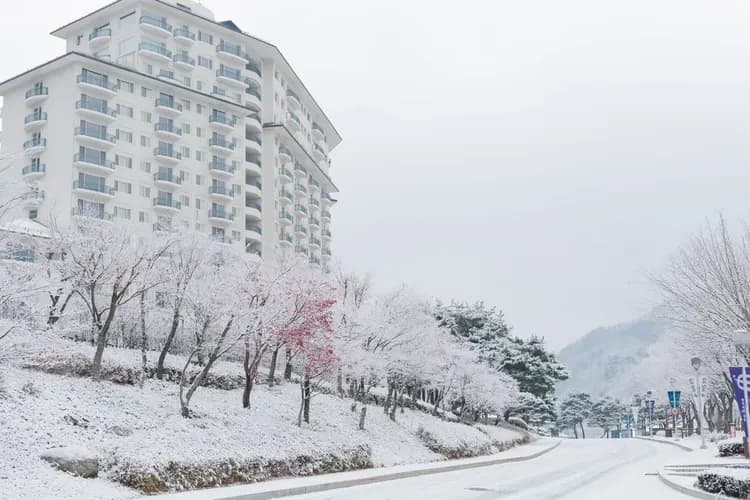 伊利希安江村滑雪假村
