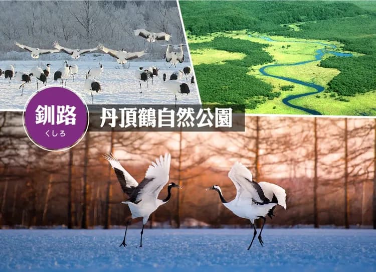 迷戀北海道全覽7日.黑岳空中纜車.熱氣球.釧路溼原.熊牧場.尼克斯企鵝.冰天使.螃蟹.敘敘苑燒肉美食(入住五溫泉)-7