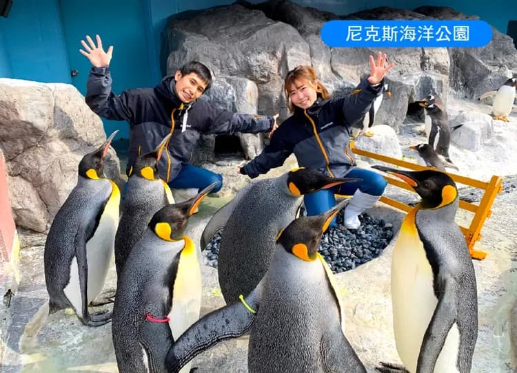 迷戀北海道全覽7日.黑岳空中纜車.熱氣球.釧路溼原.熊牧場.尼克斯企鵝.冰天使.螃蟹.敘敘苑燒肉美食(入住五溫泉)-10
