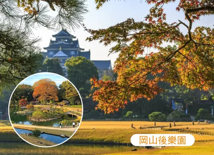 高雄出發.魔女宅急便四國小豆島5日.保住希爾頓嘉悅里.神戶和牛鐵板燒.倉敷美觀.姬路城.德島阿波舞.天使之路(華航)-8