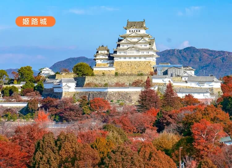 高雄出發.魔女宅急便四國小豆島5日.保住希爾頓嘉悅里.神戶和牛鐵板燒.倉敷美觀.姬路城.德島阿波舞.天使之路(華航)-6