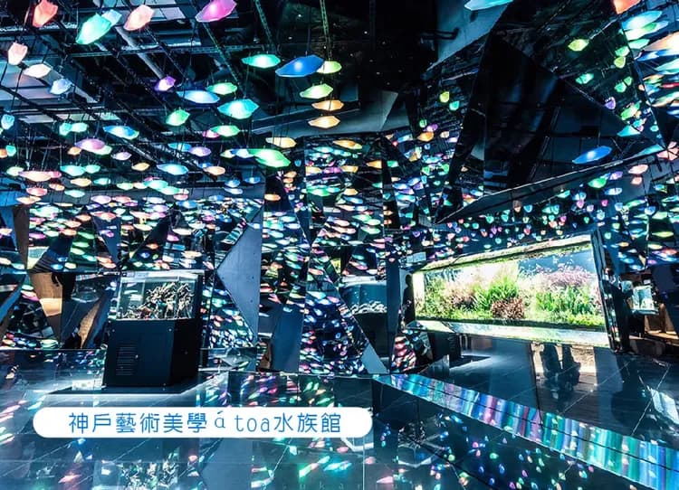 FUN寒假兒童折萬.冬雪戀關西四都5日升等飯店.環球影城.六甲山戲雪.átoa水族館.清水寺.敘敘苑燒肉.螃蟹和牛吃到飽-5