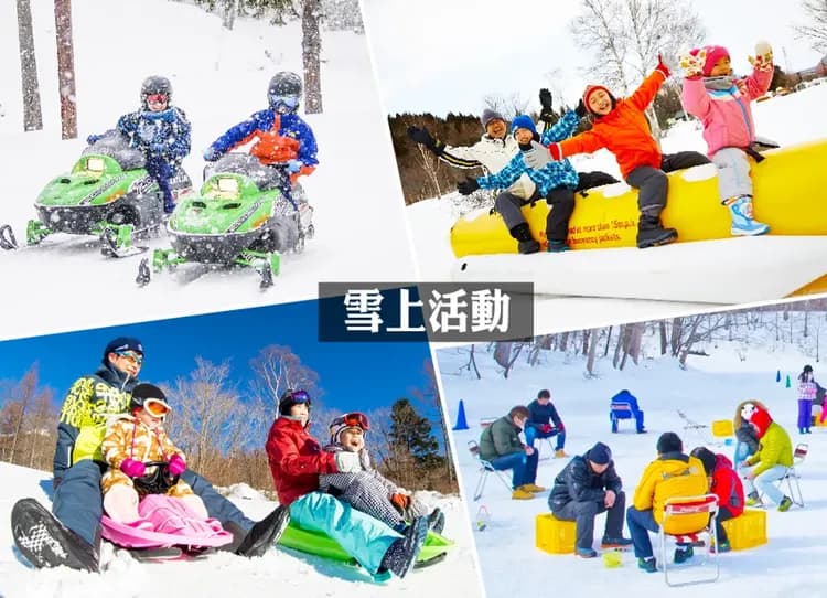 冬戀物語北海道5日.函館夜景纜車.爆萌企鵝.玩雪三合一.小樽運河.洞爺湖.札幌彩燈.三大螃蟹吃到飽-11