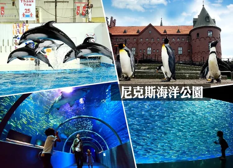 冬戀物語北海道5日.函館夜景纜車.爆萌企鵝.玩雪三合一.小樽運河.洞爺湖.札幌彩燈.三大螃蟹吃到飽-5