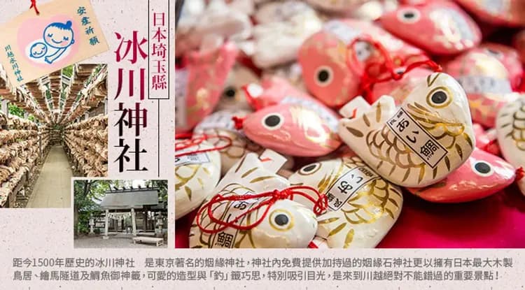 特選東京｜迪士尼.川越冰川神社.鎌倉古街.晴空塔.橫濱OUTLET.半自由行六日｜高雄來回-6