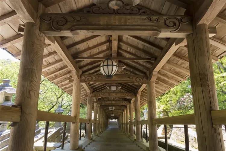 ITF大阪│台灣虎航｜奈良長谷寺.世界遺產清水寺.最古老下鴨神社.好運達摩勝尾寺.阿倍野展望台五日｜長腳蟹吃到飽｜高雄-5