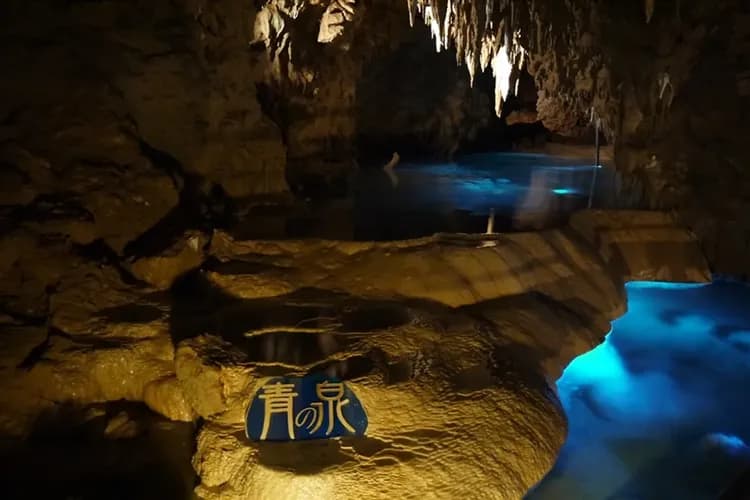 迎春-2000｜沖繩旅遊｜今歸仁城跡賞櫻.美國村冬季彩燈.美麗海水族館四日~保證入住2晚國際品牌酒店｜台中出發-5