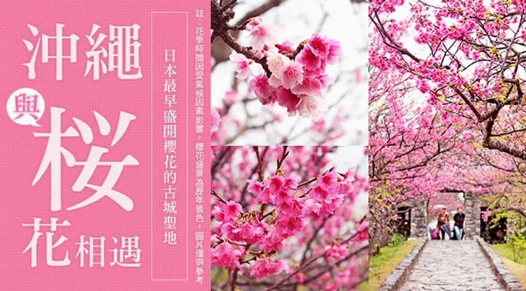 過年折3,000｜沖繩櫻紛飛．鳳梨樂園VS恐龍園．琉球文化～大鼓秀．海豚表演．品酒饗宴四日│保住2晚星等渡假飯店-9