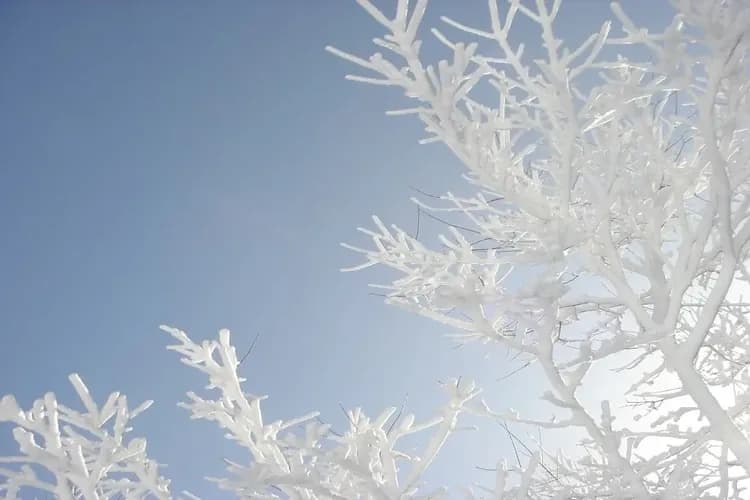 六甲山戲雪樂園