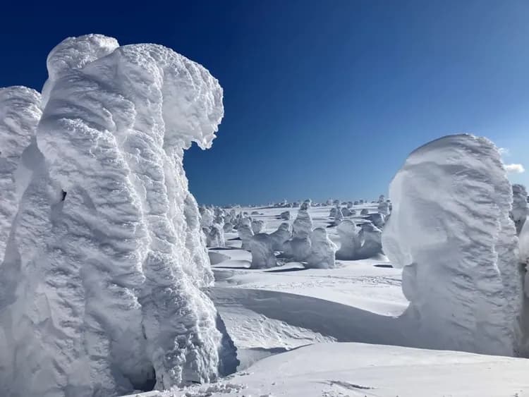 藏王樹冰纜車(包含防寒雪衣、雪鞋與手套)