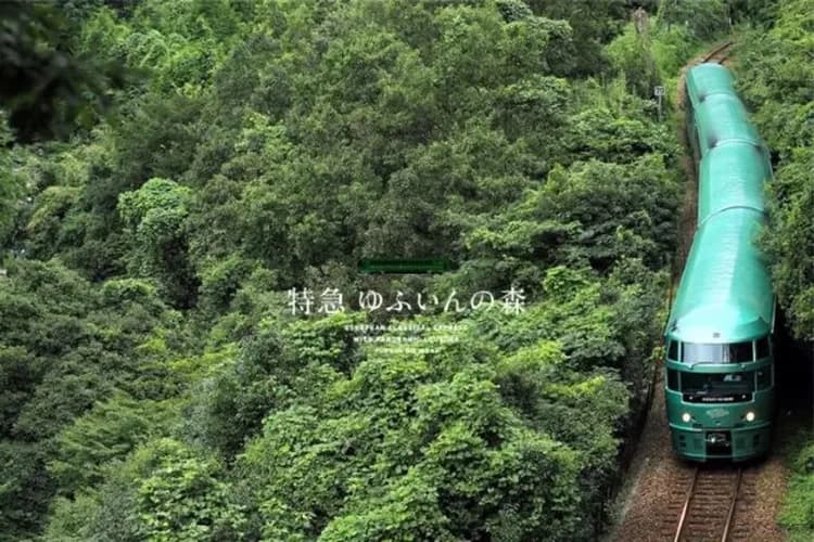 特急由布院之森列車(由布院++日田；約1小時)