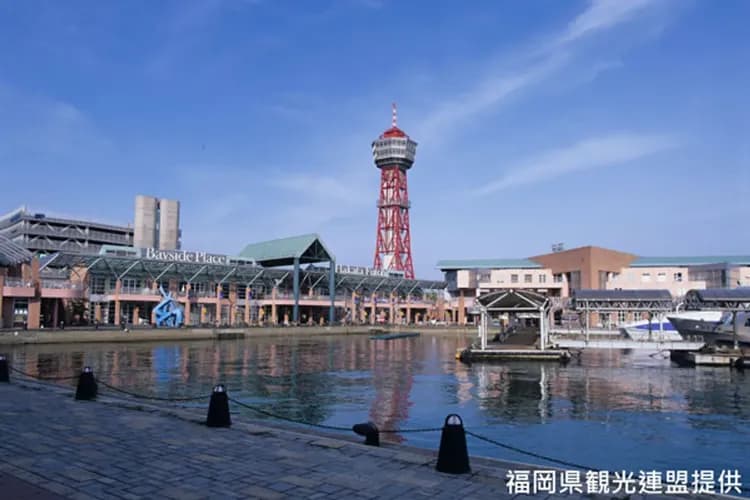 KHH九州鐵道旅行～二見浦夫婦岩、三隈川屋形船、長腳蟹吃到飽、由布院之森列車六日-13