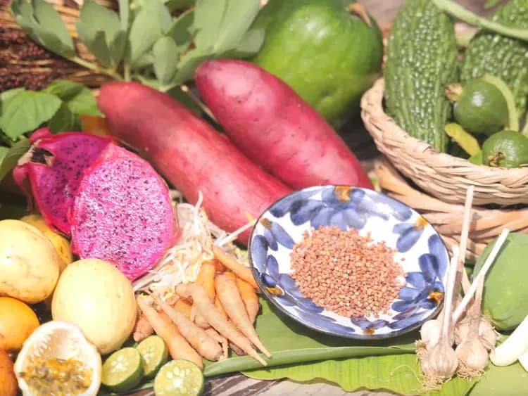 【竹富島深度文化遊】跟著在地嚮導漫步傳統聚落＆品嚐特色「命草」純素料理-10