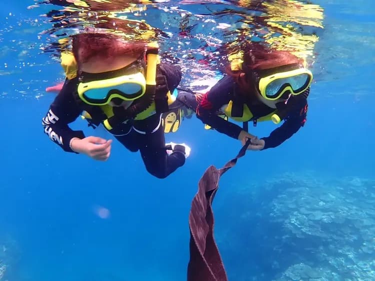 【石垣島半日遊】藍洞浮潛探險 & 邂逅海龜之旅 ｜含接送-6
