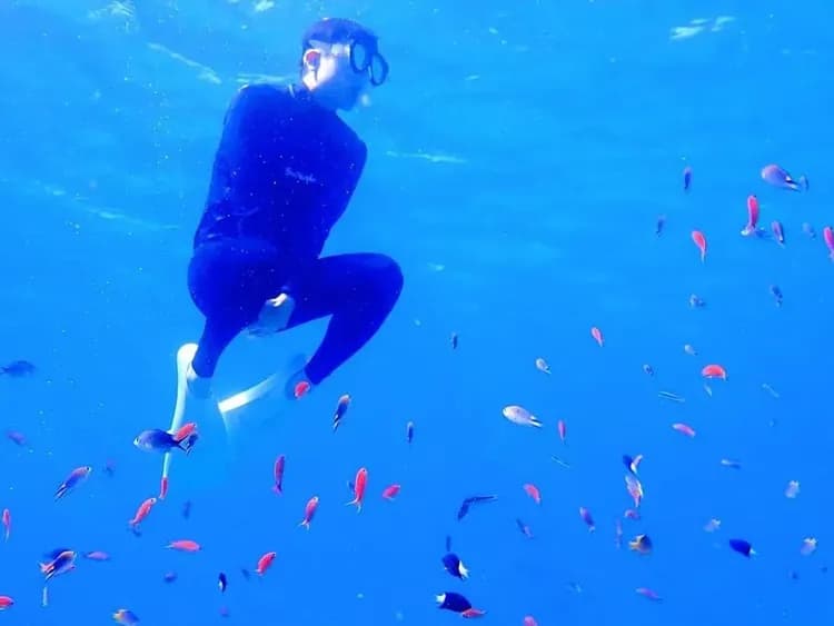 【石垣島半日遊】石垣島幻影島登陸｜可選浮潛方案-5