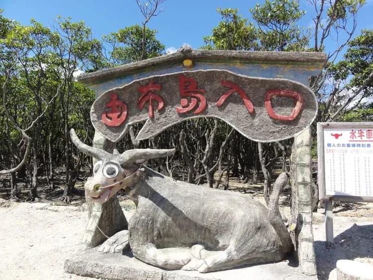 【石垣島出發】西表島・由布島悠閒半日遊｜紅樹林遊船＆水牛車體驗 (含午餐)-6