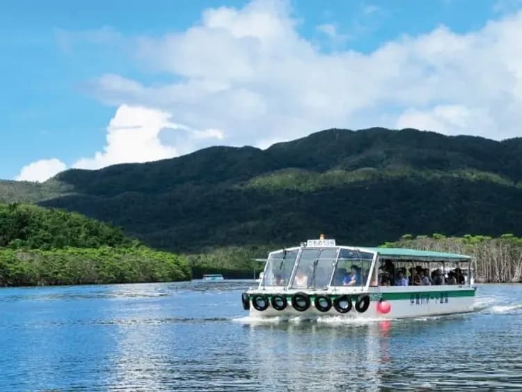 【石垣島出發】西表島・由布島悠閒半日遊｜紅樹林遊船＆水牛車體驗 (含午餐)-11