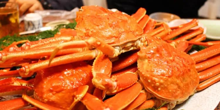 北海道雪閃耀～道東流冰船、知床流冰漫步、冬慶典雪樂園、和牛七大蟹五日-9