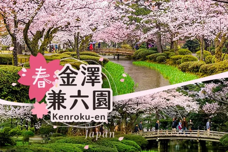 春-金澤兼六園(日本櫻花百選；送金箔冰淇淋)
