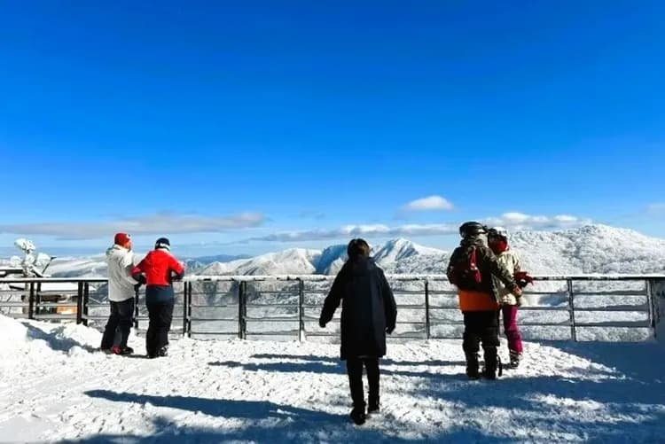 藏王中央纜車(冬季限定霧冰)
