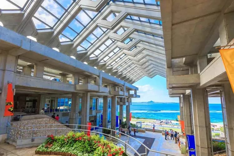 照片來源：美麗海水族館官網-美麗海水族館(海洋博公園)