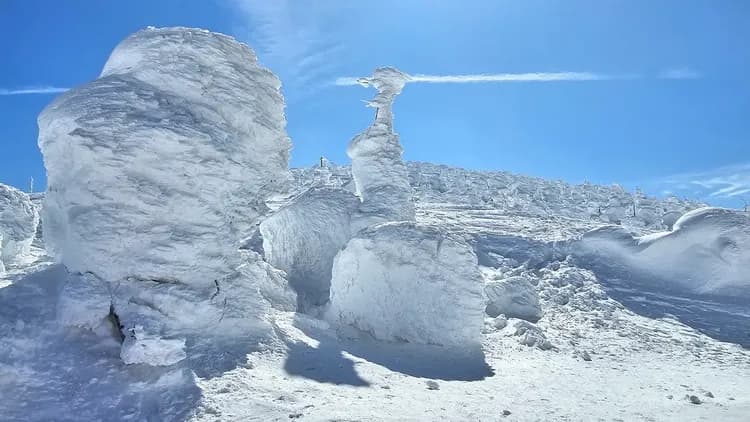 東北旅遊|銀山溫泉街.藏王樹冰纜車.戲雪活動.會津若松城.大內宿合掌村.松島遊船.山形牛餐.酒藏見學.採果.溫泉五日-7
