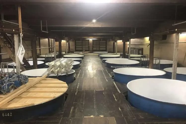 限量東北青仙旅遊|八甲田山樹冰纜車.岩手冰雪世界~洞窟.銀山溫泉街.猊鼻溪遊船.酒造.蘋果工廠見學.溫泉.採果六日-10