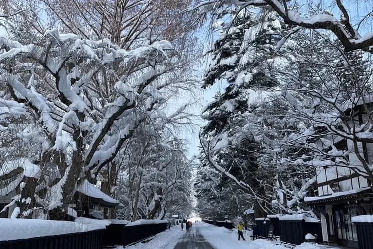 限量東北青仙旅遊|八甲田山樹冰纜車.岩手冰雪世界~洞窟.銀山溫泉街.猊鼻溪遊船.酒造.蘋果工廠見學.溫泉.採果六日-15