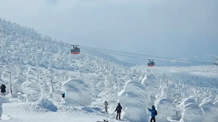 好食在東北仙青雙點進出|藏王樹冰纜車.雪境列車.猊鼻溪暖桌遊船.銀山溫泉街.弘前蘋果公園尋寶活動.牛舌餐.3溫泉五日-7