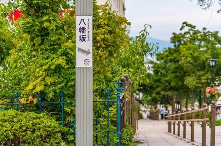 KHH北海道感蟹季～小樽函館山、冬季夢幻彩燈、尼克斯雪樂園、三大蟹三溫泉六日-14