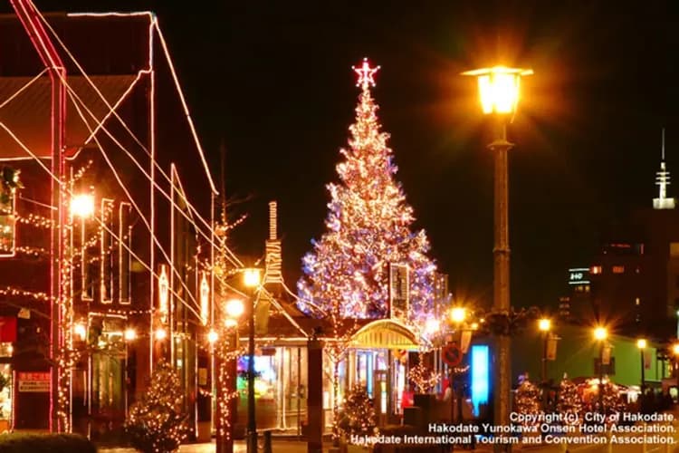 函館夢幻彩燈節(2025/12/01～2026/02/28)