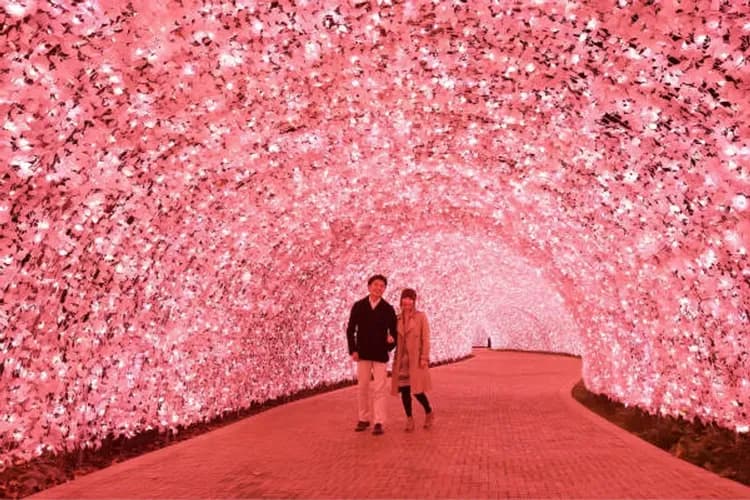 名花之里(冬華競演彩燈季)