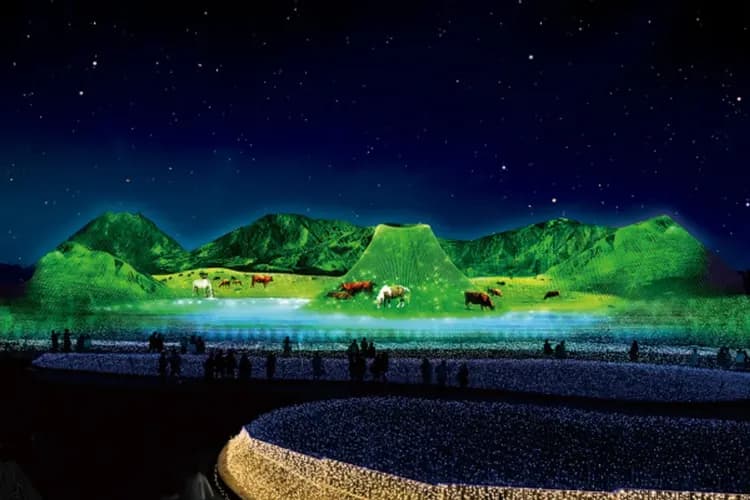 名花之里(冬華競演彩燈季)