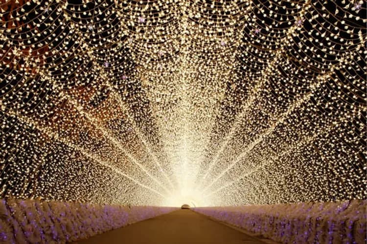 名花之里(冬華競演彩燈季)