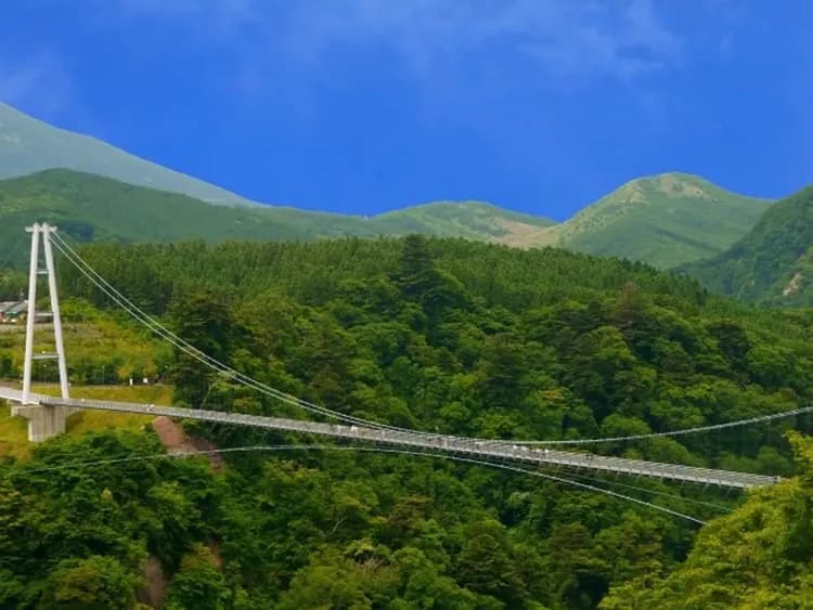 九重夢大吊橋