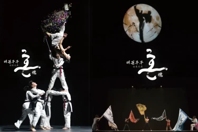 濟州阿里郎功夫秀-阿里郎《魂》跆拳武藝秀