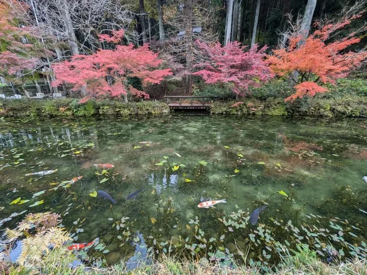 Sauna Villa 板取-10