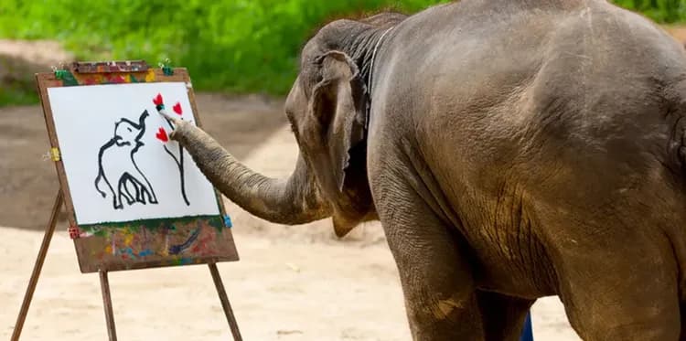 旅展優惠│清邁│清萊│黑白藍廟,青青草原,森林藝術村,瓦洛洛市集,尼曼商圈,海鮮吃到飽5日-7