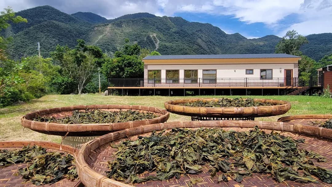 台東縣-空谷覺茶 台東海端南橫蔬食農場民宿