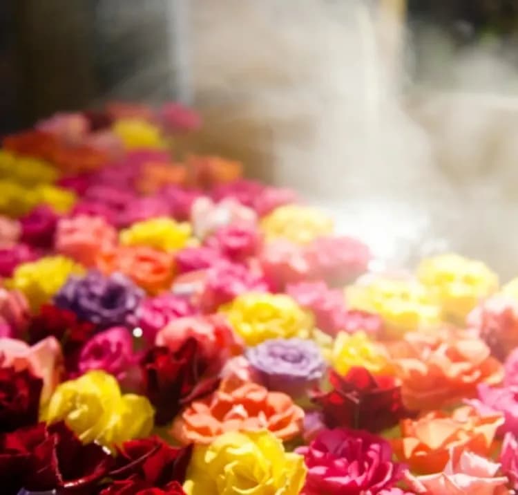 道後溫泉 茶玻琉溫泉飯店