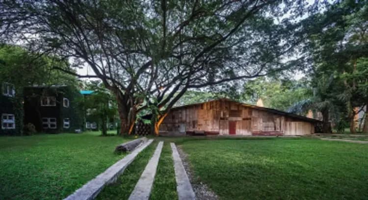 旅展折二千｜泰國清邁旅遊｜世界文化遺產X百年菸廠.大象村.泰服體驗.五星港式飲茶x米其林饗宴五日-5