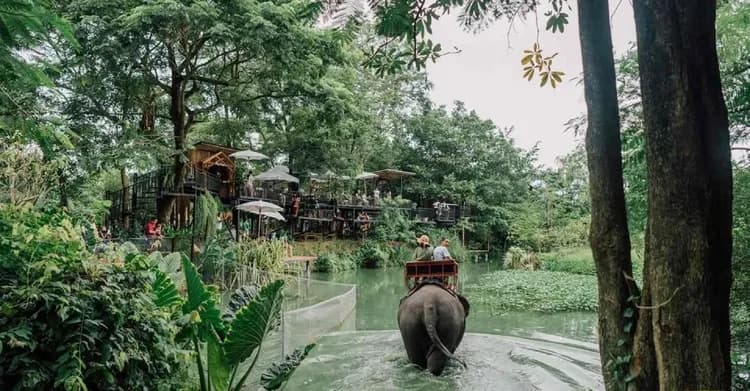 早鳥最高省６千│泰國旅遊│國際五星一晚,贈行政酒廊,洲際酒店沙灘BBQ,甜點DIY,綠野象蹤咖啡廳,無購物五日-6