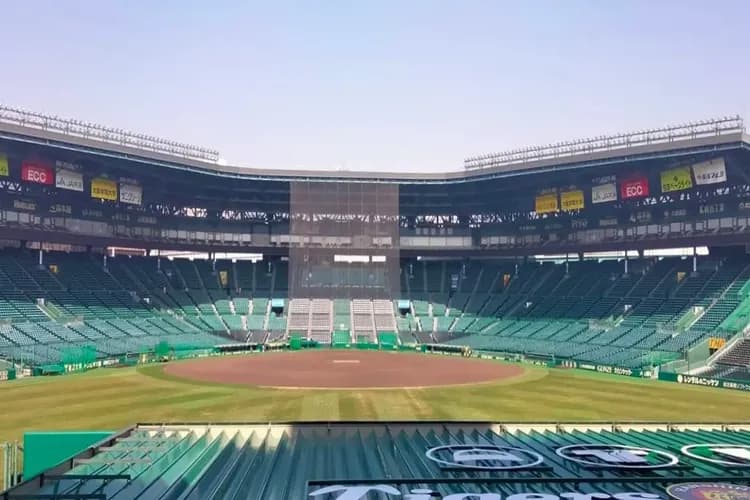 甲子園棒球場-親子超高人氣