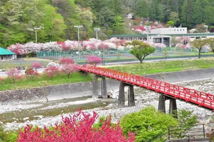 阿智昼神観光局提供-阿智村花桃之里