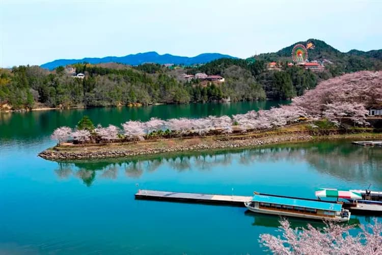 花現雪壁傳奇～立山黑部、合掌村兼六園、日本櫻花百選、惠那峽遊覽船五日-7