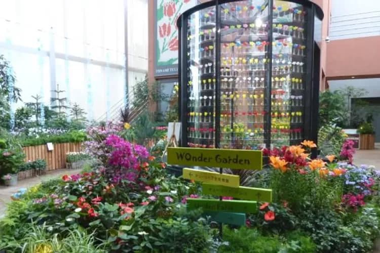 花現雪壁傳奇～立山黑部、合掌村兼六園、日本櫻花百選、惠那峽遊覽船五日-8