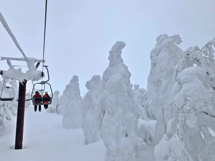 藏王樹冰纜車(包含防寒雪衣、雪鞋與手套)
