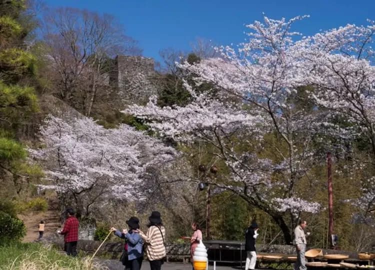 KHH櫻花戀九州～日本百選櫻情、高千穗岡城跡、懷舊門司港、戀戀雙溫泉五日-9