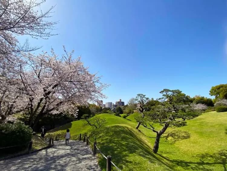 圖片出處：©熊本県観光連盟-精選賞櫻景點