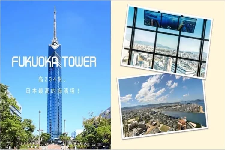 福岡塔(上展望台)